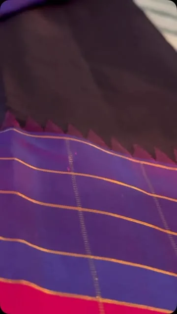 Nagapazham-color silk saree with a rose and orange checkered border and a royal blue pallu.